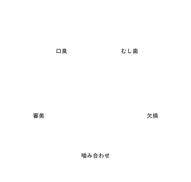 虫歯、欠損、かみ合わせ、審美、口臭、歯周病